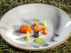 Gourmetgericht mit Lachs, Gurkenröllchen, Kaviarperlen und Kräutergarnitur auf Keramikteller