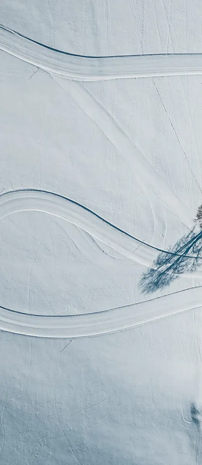Geschwungene schneebedeckte Wege mit kahlen Bäumen und langen Schatten in Winterlandschaft