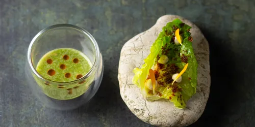 Gourmet-Vorspeise mit grüner Soße und Salat auf Stein und im Glas serviert