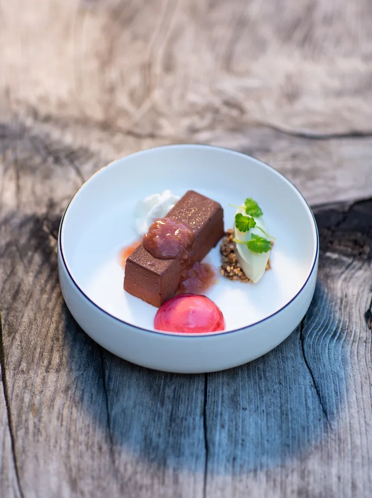 Schokoladendessert mit Eis, Obstkompott und Sahne auf weißem Teller auf Holztisch