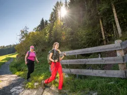 Zwei Frauen wandern mit Stöcken auf einem Waldweg bei strahlendem Sonnenschein