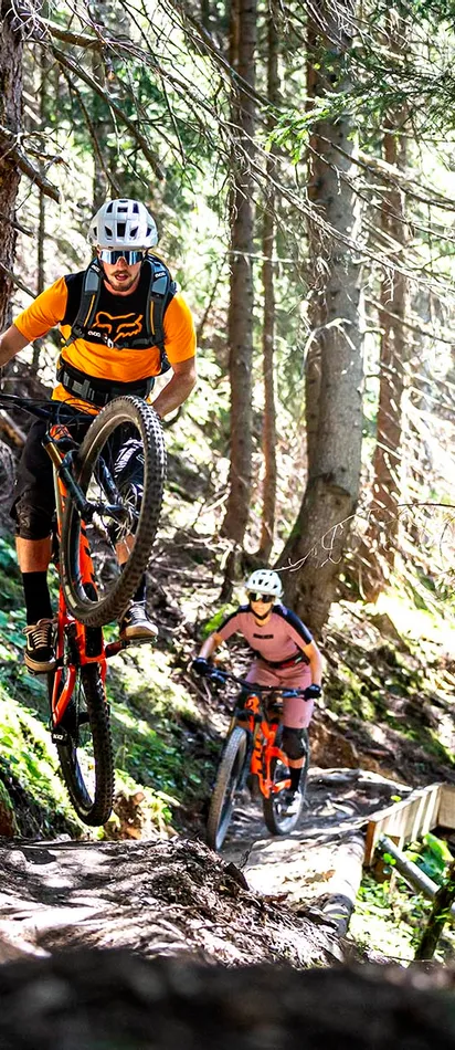 Mountainbiker auf einem Waldweg, einer hebt das Vorderrad auf einem Erdpfad