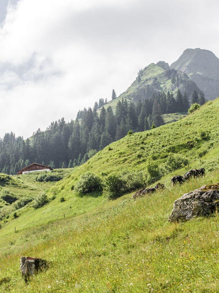 Wandern in den Alpen im Salzburgerland