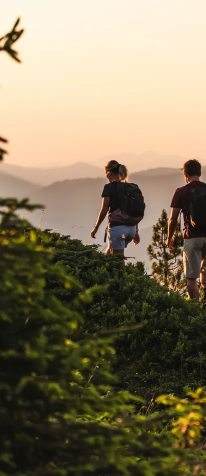 Paar wandert bei Sonnenuntergang auf einem Bergpfad zwischen Kiefern und Hügeln