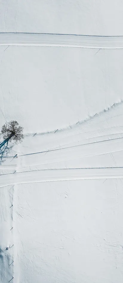 Geschwungene schneebedeckte Wege mit kahlen Bäumen und langen Schatten in Winterlandschaft