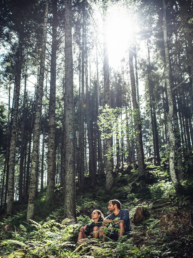 Couple sitting in a sunlit forest surrounded by tall trees and lush greenery