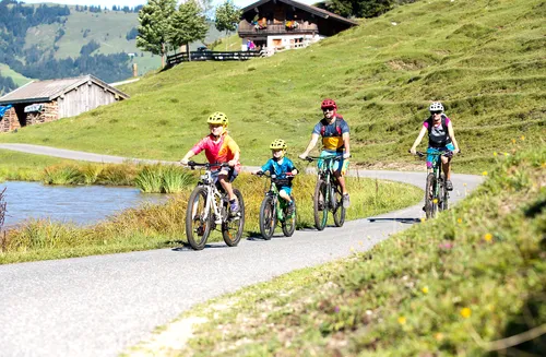 Familie fährt gemeinsam mit dem Fahrrad auf einem malerischen Bergweg bei Almhütten