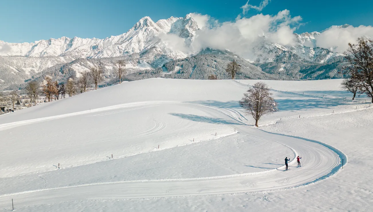 Skilangläufer auf verschneiter Loipe vor schneebedeckten Alpen