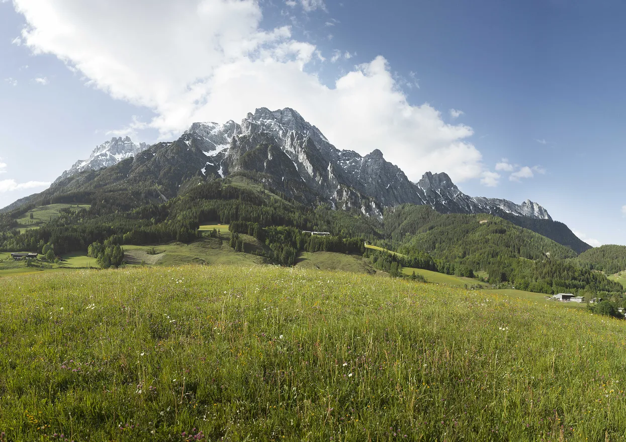 Leogang Landschaft in Saalfelden