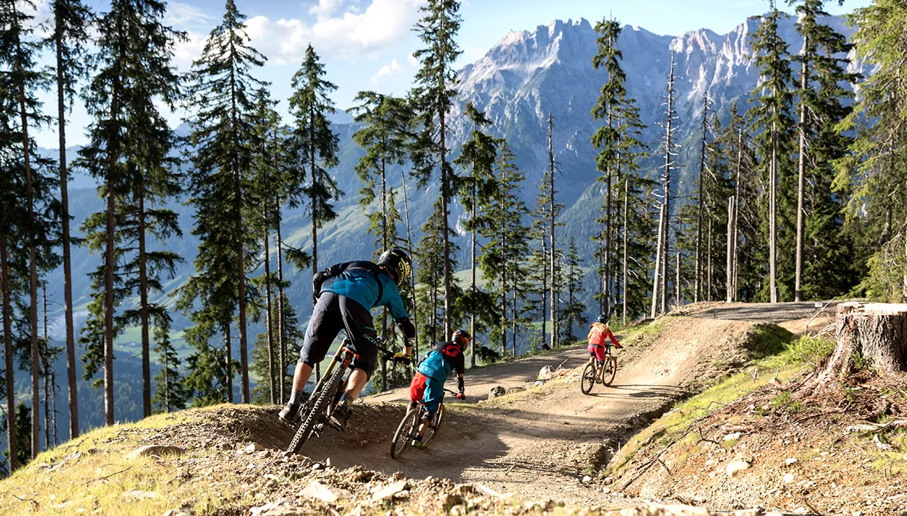 Drei Mountainbiker fahren bergab auf einem Waldweg mit Alpenpanorama im Hintergrund