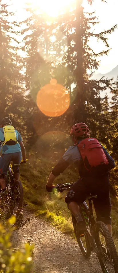 Gruppe von Mountainbikern fährt bei Sonnenuntergang einen Waldweg bergauf
