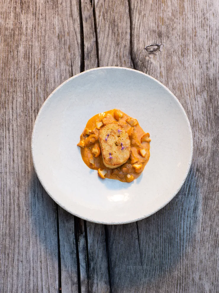 Gourmet bread dumpling with creamy chanterelle mushroom sauce on ceramic plate