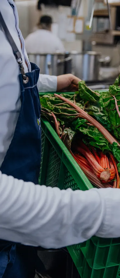Chef carrying a crate of fresh rainbow chard in a professional kitchen