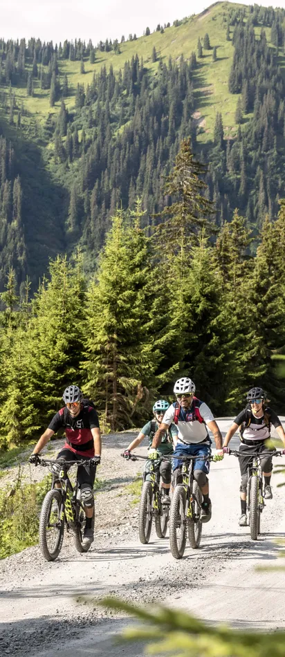 Group of mountain bikers riding on forest trail in the Alps