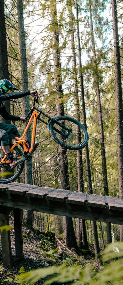 Mountainbiker macht ein Wheelie auf Holzrampe im Wald