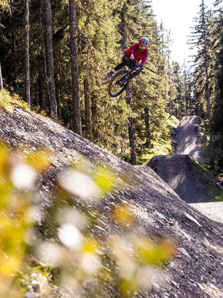 Mountainbiker in der Luft bei einem Sprung auf einem Waldtrail mit hohen Kiefern