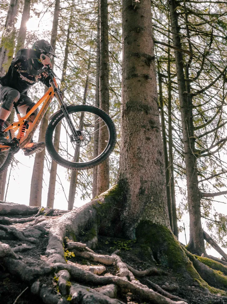 Mountainbiker springt über Baumwurzeln auf einem Waldweg mit vollgefedertem Rad