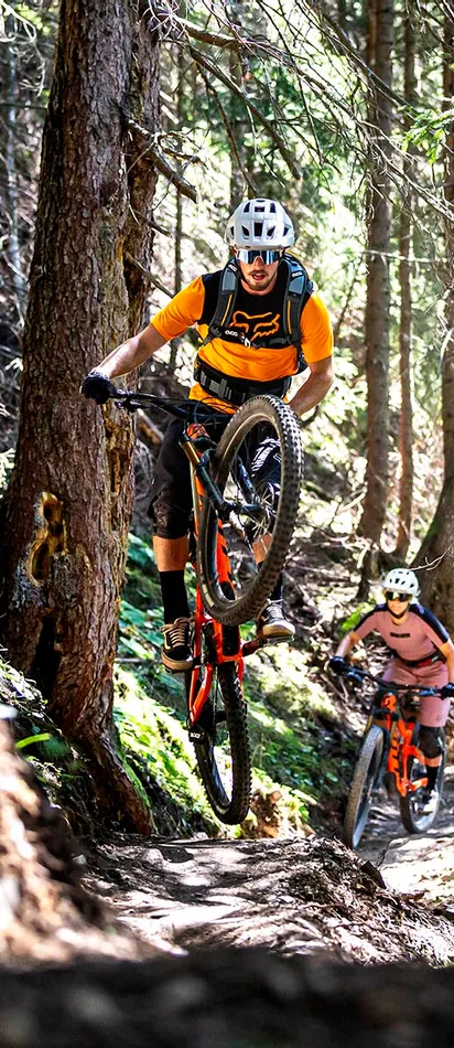 Mountainbiker auf einem Waldweg, einer hebt das Vorderrad auf einem Erdpfad