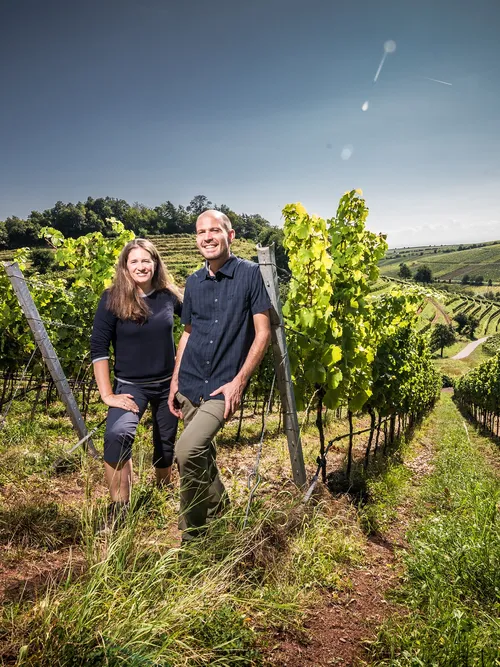 Lächelndes Paar steht in einem sonnigen Weinberg mit grünen Reben und Hügeln