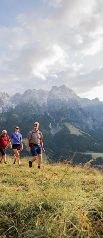 Wanderergruppe auf grasigem Alpenpfad mit Bergkette im Hintergrund