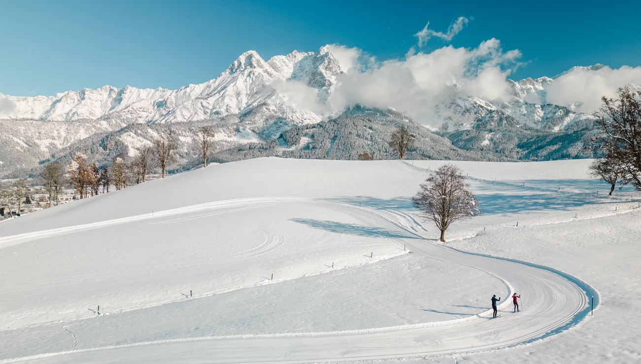 Skilangläufer auf verschneiter Loipe vor schneebedeckten Alpen