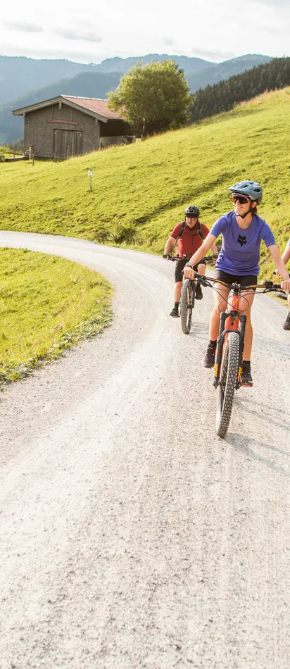 Gruppe von Radfahrern auf Mountainbikes auf einem Schotterweg durch eine idyllische Landschaft