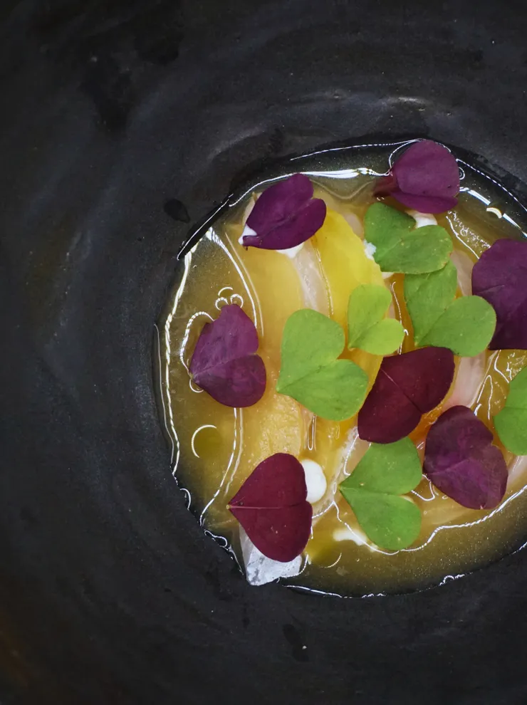 Gourmetgericht Namaycush Fisch mit Chioggia Rübe