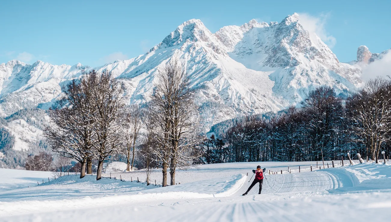 Langläufer auf gespurter Loipe vor verschneiten Alpen und winterlicher Landschaft