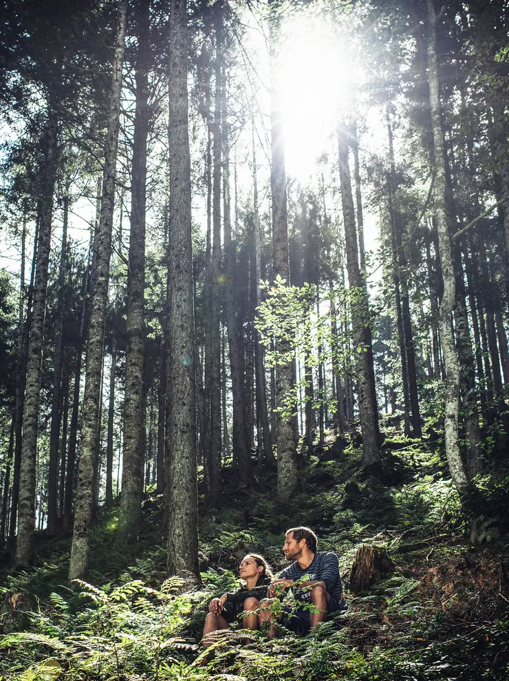 Paar sitzt in einem sonnenbeschienenen Wald mit hohen Bäumen und üppigem Grün