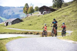Familie fährt mit Fahrrädern auf kurvigem Bergweg nahe Holzhütten in Alpenlandschaft