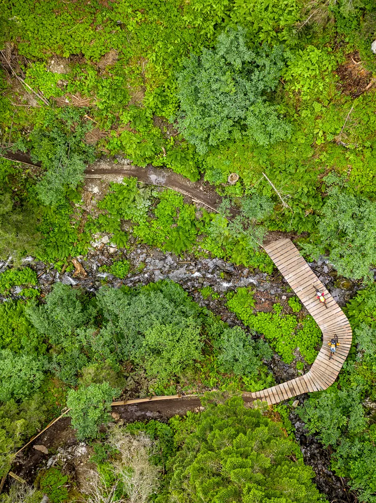 Aerial view of hikers on wooden trail bridge through lush green forest and stream