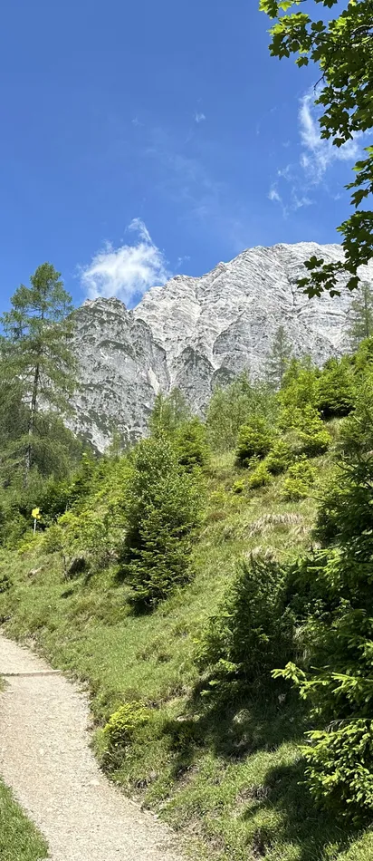 Eine Wandergruppe geht Wandern in Leogang - Richtung Birnbachloch