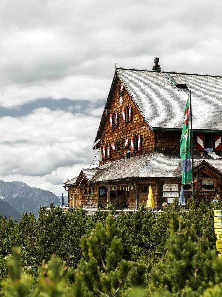 Berghütte mit Schindeldach in den Alpen mit grünen Nadelbäumen im Vordergrund