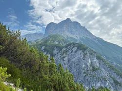 Mountain hiking trail through alpine pines with rocky peaks under a partly cloudy sky