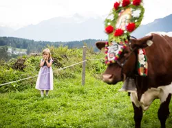 Mädchen in Dirndl steht auf Wiese neben festlich geschmückter Kuh in Alpenlandschaft
