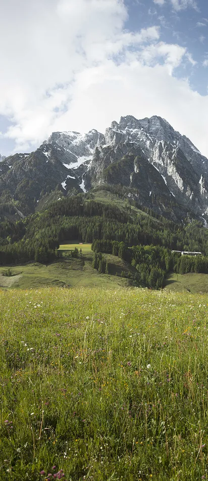 Leogang Landschaft in Saalfelden