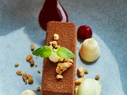 Gourmet-Schokoladendessert mit Beerensauce, Sahnetupfen und Minze auf Keramikteller