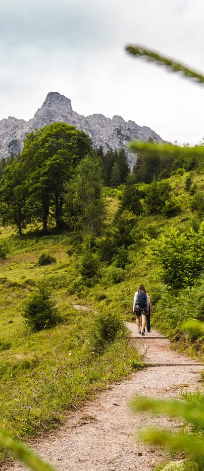 Hiker on mountain trail through green alpine meadow with rocky peaks ahead