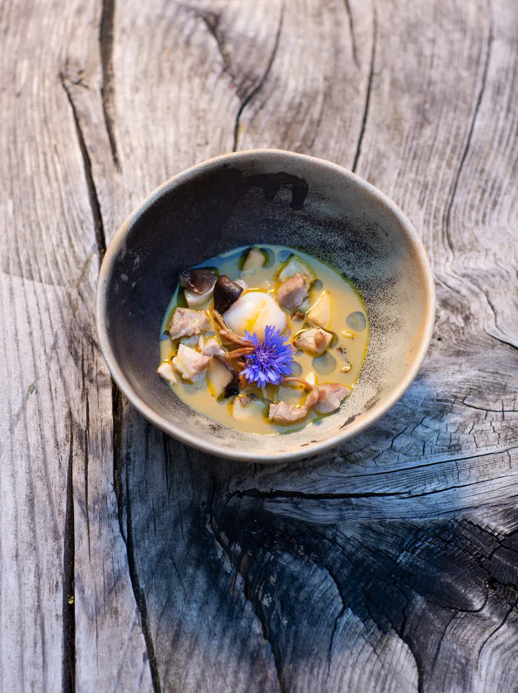 Gourmet mushroom soup with poached egg and edible flower in rustic ceramic bowl