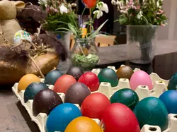 Bunt gefärbte Ostereier in Eierkarton mit Frühlingsblumen im Hintergrund