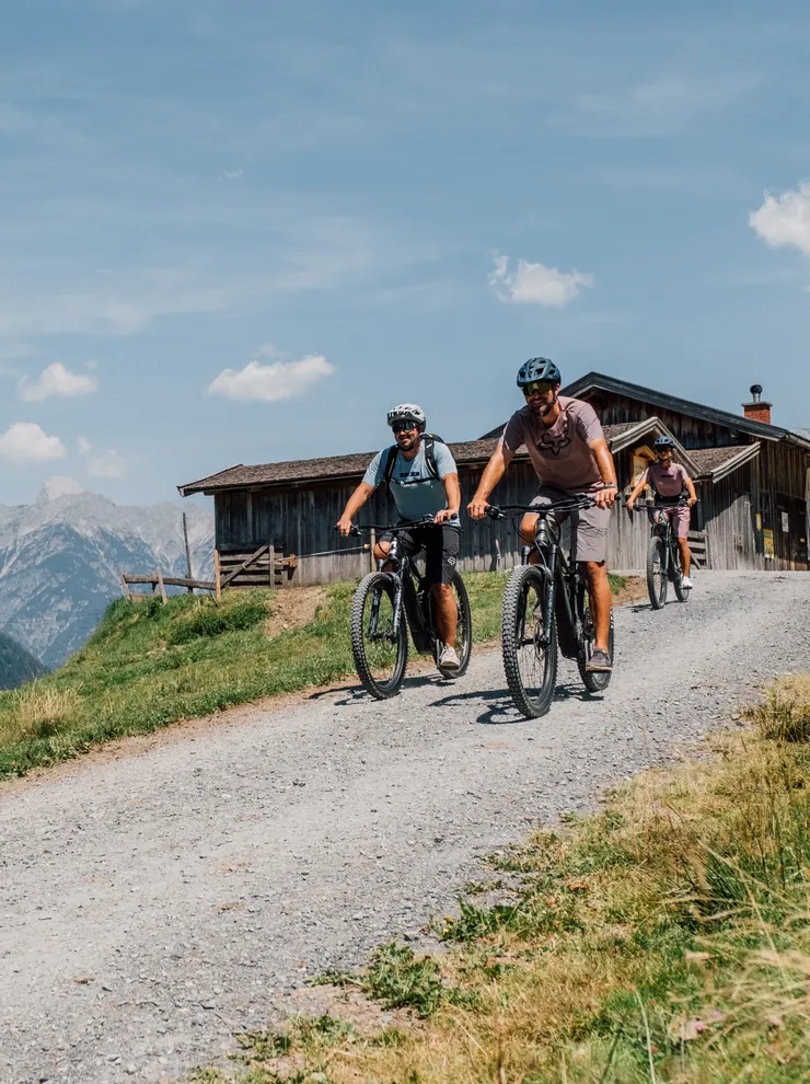 Group of mountain bikers riding downhill past alpine hut in summer landscape