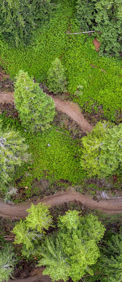 Luftaufnahme eines kurvigen Mountainbike-Waldwegs mit Fahrern zwischen grünen Bäumen