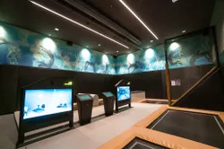 Indoor-Trampolinpark mit interaktiven Spielbildschirmen und Wandkunst in der Riederalm