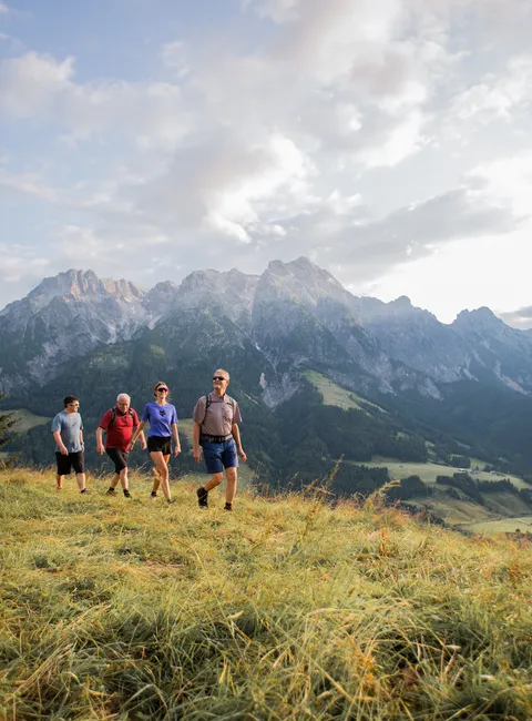 Wanderergruppe auf grasigem Alpenpfad mit Bergkette im Hintergrund