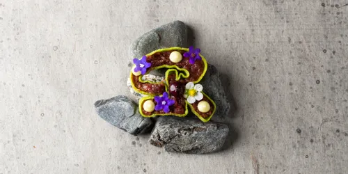 Kunstvoll angerichtete Gourmet-Vorspeise mit essbaren Blüten auf Steinen