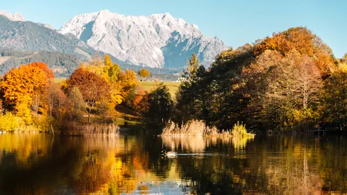Herbstbäume spiegeln sich in einem ruhigen See mit Bergkulisse im Hintergrund
