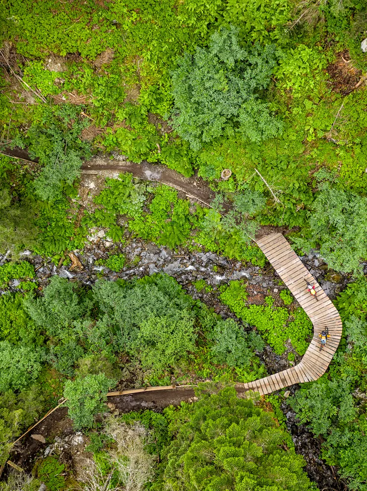 Luftaufnahme von Wanderern auf Holzsteg durch üppigen grünen Wald mit Bach
