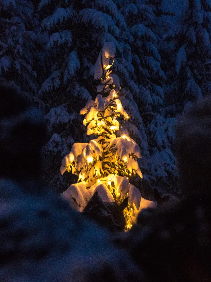 Advent in der Riederalm Leogang