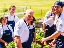 Group of chefs harvesting fresh herbs in a sunny outdoor garden
