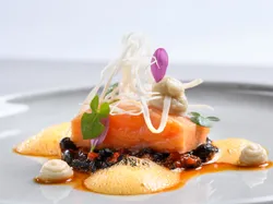 Gourmet-Lachsfilet mit Schaum, schwarzen Bohnen und Microgreens auf weißem Teller